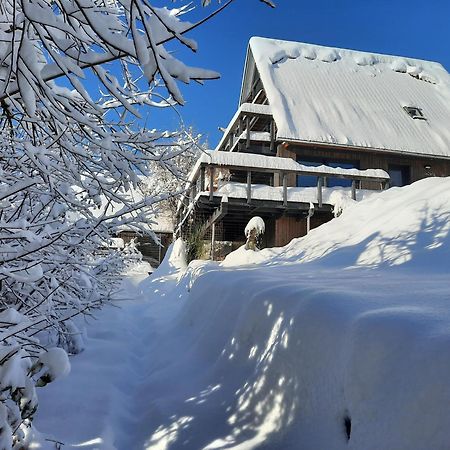Haus Mit Bergblick Villa Зигсдорф Екстериор снимка
